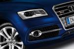 Audi SQ5 TDI 2013 года (WW)